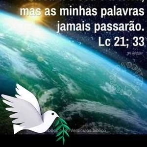 Meet your Posher, Fatima